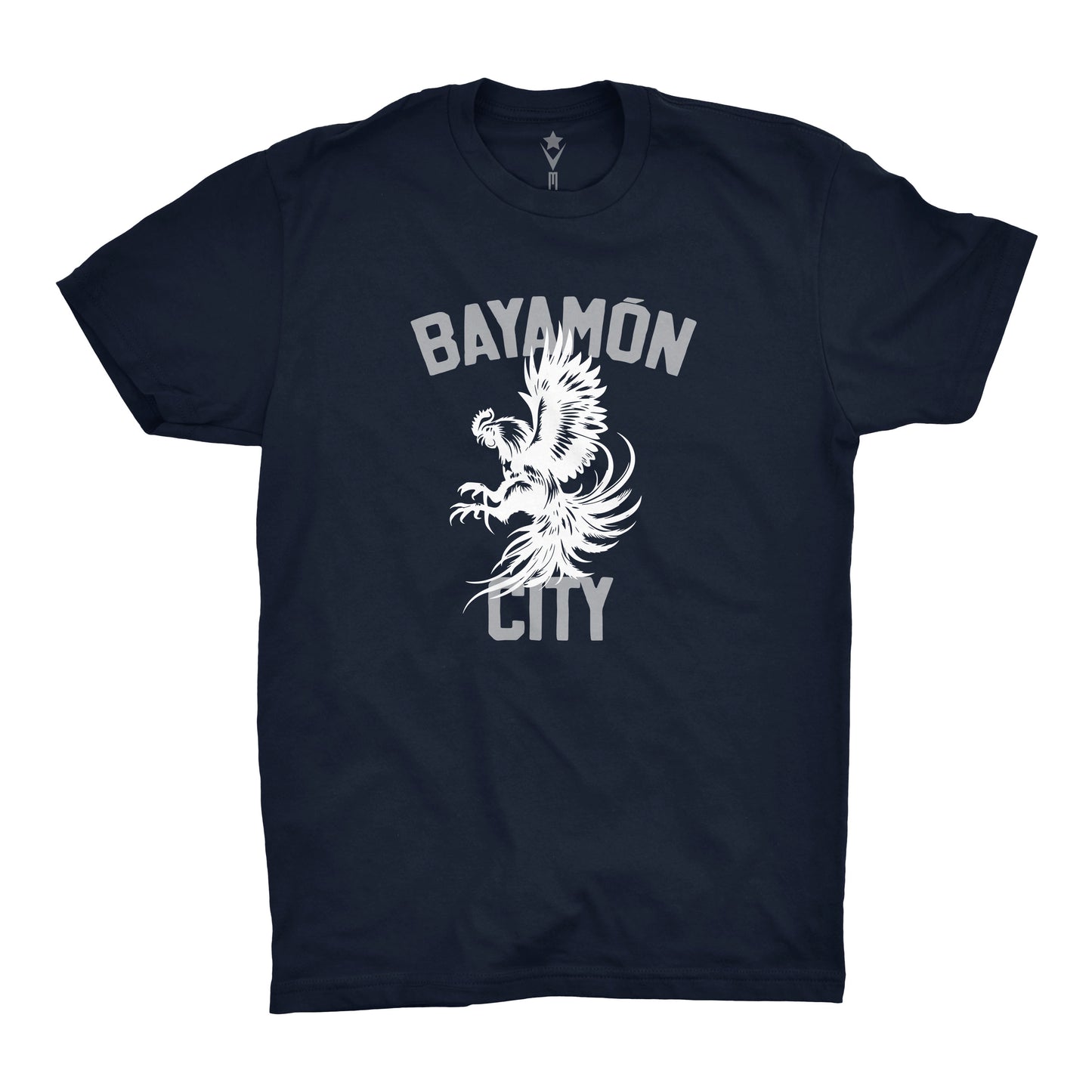 Bayamón City