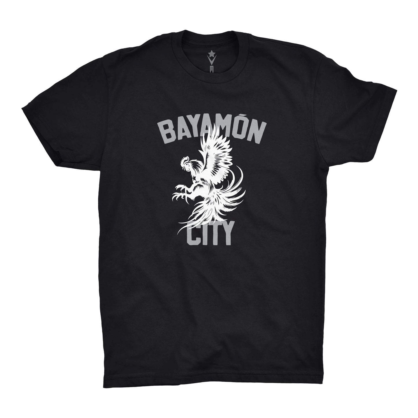 Bayamón City