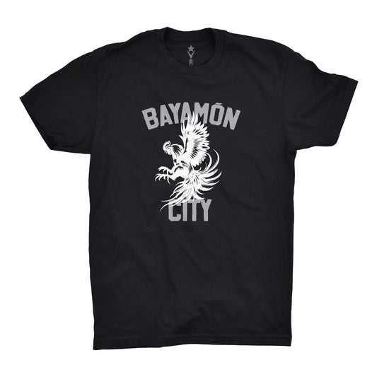 Bayamón City