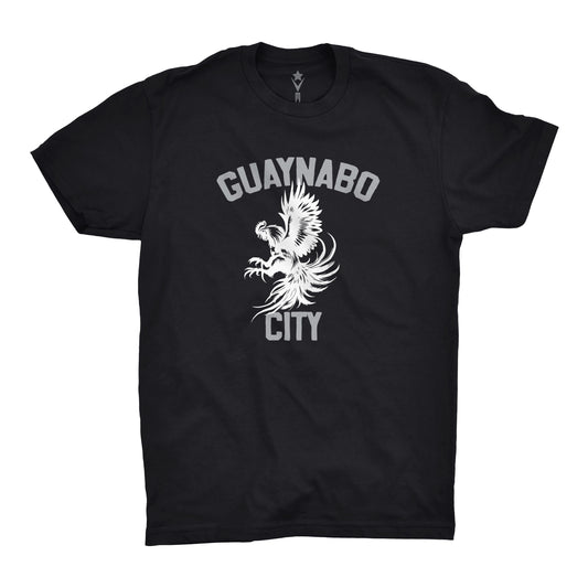 Guaynabo City
